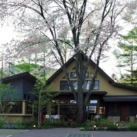 シェ草間 - 背後に離山。テラス席は大きな桜の木の花の天井。