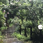 Aromatherapy & Cafe Bube