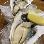 ビストロ ティアボ - 