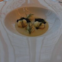 SALONE TOKYO - マディア風 アオリイカのニョッキ（2020.6）