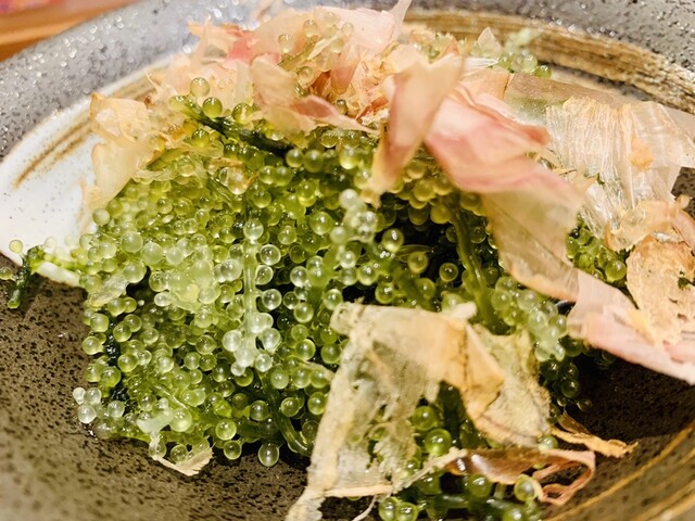 沖縄料理 金魚 三宮本店 きんぎょ 三宮 神戸市営 沖縄料理 ネット予約可 食べログ 沖縄料理 金魚 三宮本店 きんぎょ 三宮 神戸市営 沖縄料理 ネット予約可 食べログ