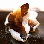 日本橋蛎殻町 すぎた - 京都府舞鶴産の トリ貝