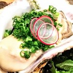 はてなのちゃわん - 