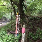 再度山荘 - 坂道　トンネル　草っぱら　　　　　　最初の標識、直進します、それからもう一度同じような標識がありますが、そのまま直進（再度山荘の名前は書いていません）