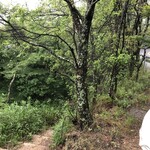 再度山荘 - 看板の右側を下りて行きます