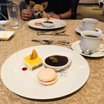 CARO FORESTA軽井沢ジャルディーノ - 