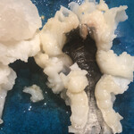 温石 - 鱧の皮目