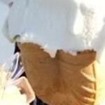 マルガージェラート 能登本店 - 