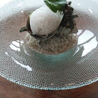 MAISON LAFITE -  MAISON LAFITE -