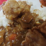 Riyuu Hou - チキンカレー