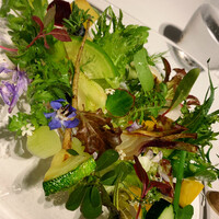 レフェルヴェソンス - 