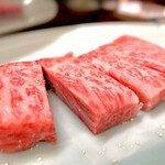 焼肉 かっぱ梶岡 - ハネシタ