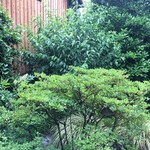 リョウリヤ ステファン パンテル - 