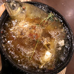 ボーノボーノ - 