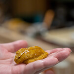 うを徳 - 函館ムラサキウニ