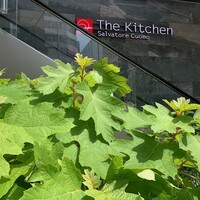 The Kitchen Salvatore Cuomo GINZA - 