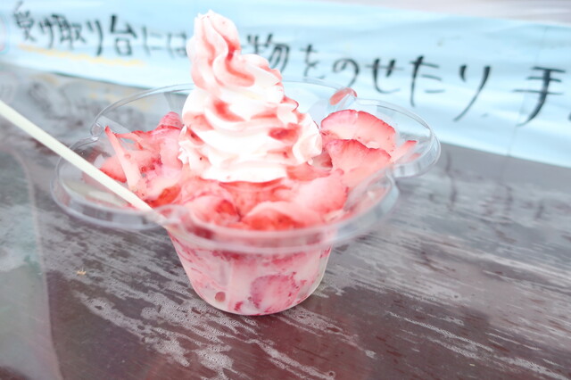 けずりいちご の店が間借りしてオープン By 飛んだ決まった おたるからf F D 小樽 かき氷 食べログ けずりいちご の店が間借りしてオープン By 飛んだ決まった おたるからf F D 小樽 かき氷 食べログ
