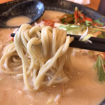 風味絶佳 麺屋まるきた商店 - 