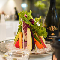 カーザ ヴィニタリア - 