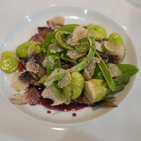 カーザ ヴィニタリア - 