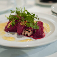 カーザ ヴィニタリア - 