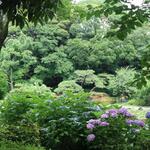 SORAIRO KITCHEN - 慶沢園　旧・住友家・本邸の庭園　1926年、大阪市に寄贈