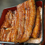 Unagi Shizuka - 