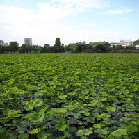 天麩羅 四季彩 村松 - 