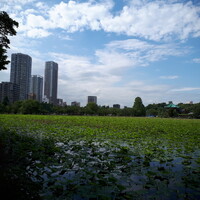 天麩羅 四季彩 村松 - 