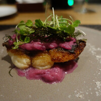 ARMONICO - 豊後水道のイサキと紫キャベツ