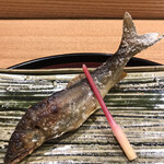 日本料理 太月 - フルコース１６５００円。長良川天然鮎塩焼き。頭、中骨も、難なくいただけます。肝の美味しさは堪能しましたが。。。焼きすぎ？ とても美味しかったですよ（╹◡╹）