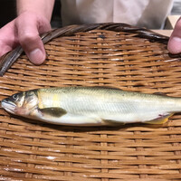 日本料理 太月 - フルコース１６５００円。長良川天然鮎。