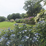 カナディアン コーヒーショップ - 