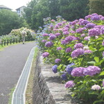 カナディアン コーヒーショップ - 