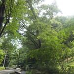 カナディアン コーヒーショップ - 