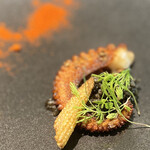 イチリン ハナレ - 佐島のマダコをパプリカとクミンで