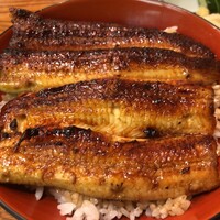 吉寅 - 鰻丼