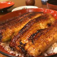 吉寅 - 
