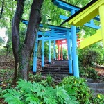Kyouyuu An - 織姫神社(蕎麦店)へ向い登る階段にある色とりどりの鳥居⛩️