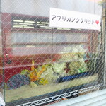 ラーメン二郎 - アフリカンシクリッド♥