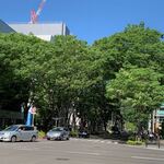 日本料理 e. - 新緑の青葉通り