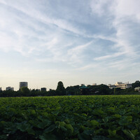 上野 榮 - 