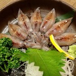 かがやき - 生ホタルイカ