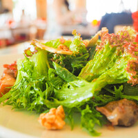 Benoit Alain Ducasse - 