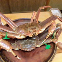 松川 - 