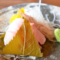 伊豆高原 城ケ崎温泉 花吹雪 - 地魚の桜葉締め