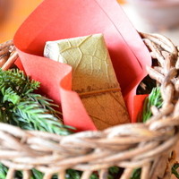 伊豆高原 城ケ崎温泉 花吹雪 - 籠ずし