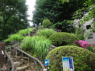 HATONOMORI - 鳩森八幡神社：富士塚