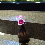 若葉鮨 - カウンター風景