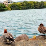 アフターグロウ - 